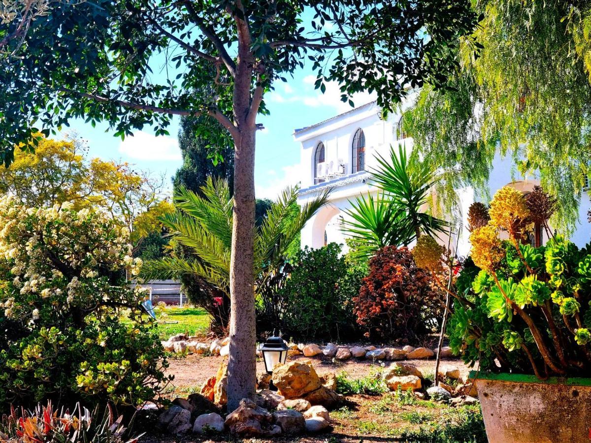 Chalet Alicante Sol Y Luz San Vicente Raspeig Eksteriør billede