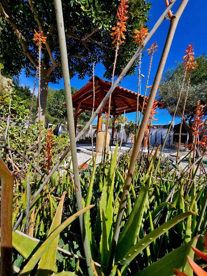 Chalet Alicante Sol Y Luz San Vicente Raspeig Eksteriør billede