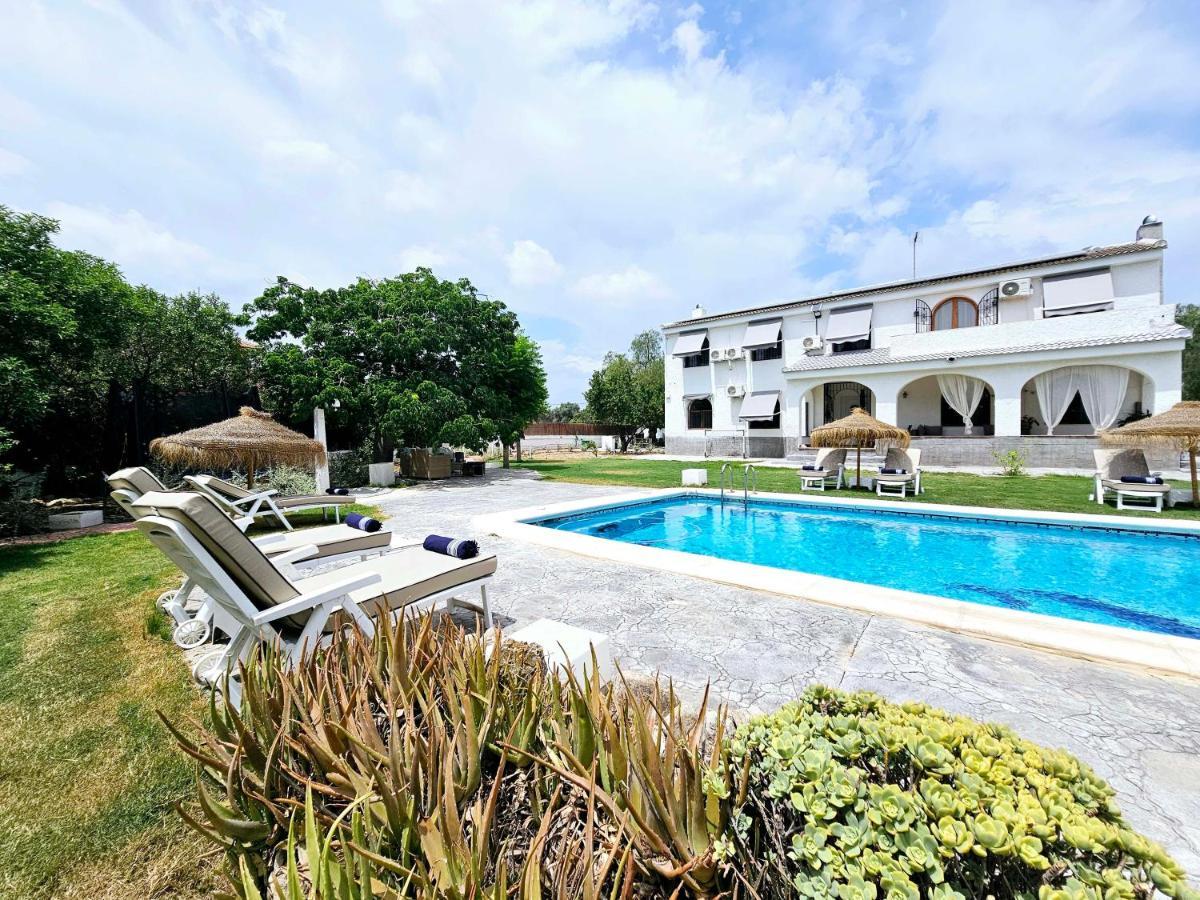 Chalet Alicante Sol Y Luz San Vicente Raspeig Eksteriør billede